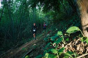 BIB: 
                            <button type="button" onclick="openModal(28124618)" class="btn btn-primary btn-sm float-right btn-popup" data-toggle="modal" data-target=".modal-high-quality">
                        <i class="fas fa-shopping-cart"></i> Add to Cart
                    </button>
                                            <button type="button" onclick="isThisMe(28124618, true)" class="btn btn-success btn-sm float-right btn-popup btn-isme hidden" data-toggle="tooltip" data-placement="bottom" title="นี่คือรูปของคุณใช่ไหม คลิกที่นี่เพื่อเอาเข้าอัลบั้ม">
                        <i class="fas fa-plus"></i> Add to album
                    </button>
                    <button type="button" onclick="isThisMe(28124618, false)" class="btn btn-warning btn-sm float-right btn-popup btn-isnotme hidden">
                        <i class="fas fa-ban"></i> Remove from album
                    </button>